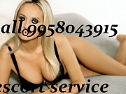 Jasola Vihar Female Escort Service ✤✥✦995-8043-915✤✥✦ Escort Call Girls